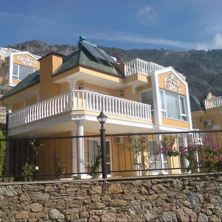 Dream Holiday 5 *